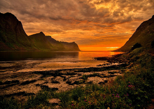 Senja - vilt, spektakulært og vakkert!